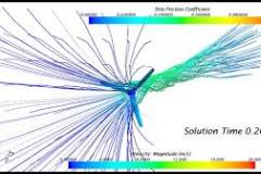 images31